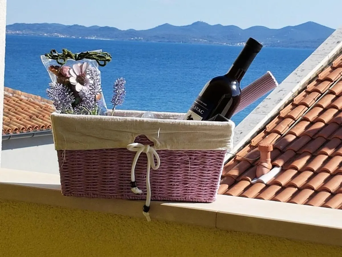 Apartments Anita - Punta Skala Petrcane