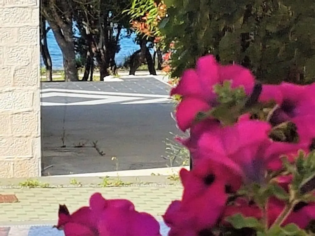 Apartments Anita - Punta Skala Petrcane Croatia