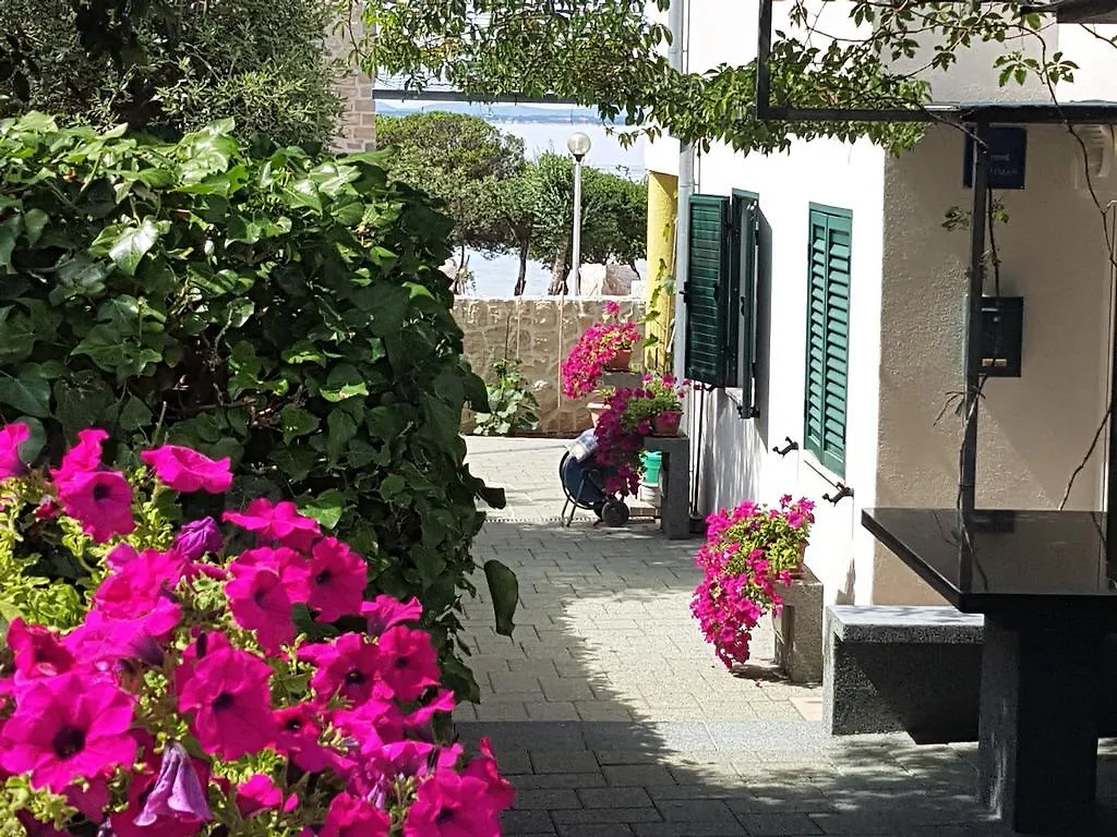Apartments Anita - Punta Skala Petrcane 0*,