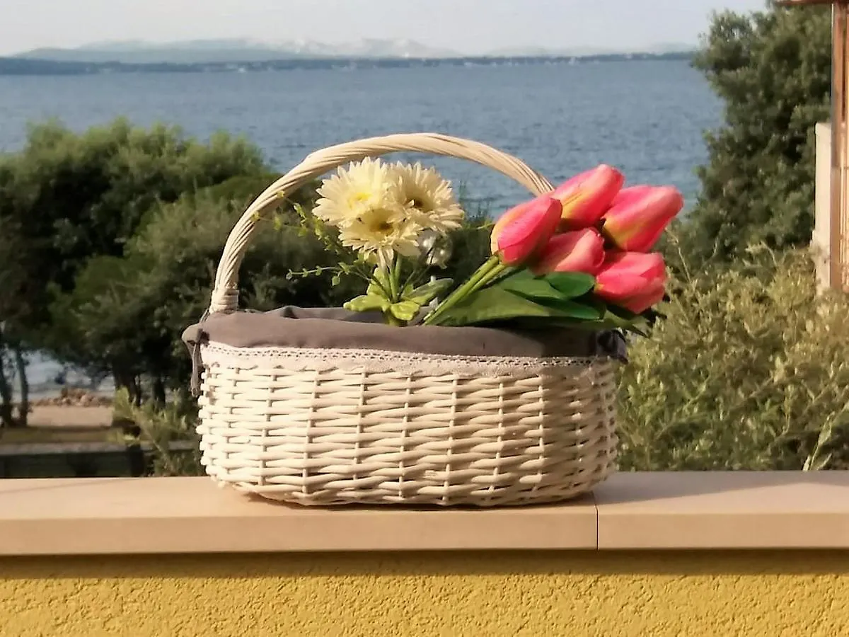 Apartments Anita - Punta Skala Petrčane 0*,  Kroatien